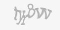 Защитный код