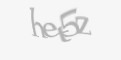 Защитный код