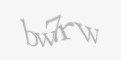 Защитный код