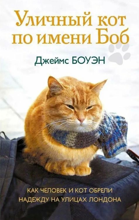Уличный кот по имени Боб: как чел...