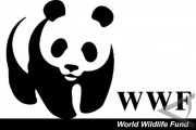 11 сентября - День рождения Всемирного фонда дикой природы