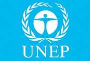 День образования организации ООН по охране окружающей среды