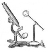 Микроскоп Левенгука
